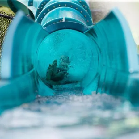 Konstantin In Trakia Plaza * Солнечный берег